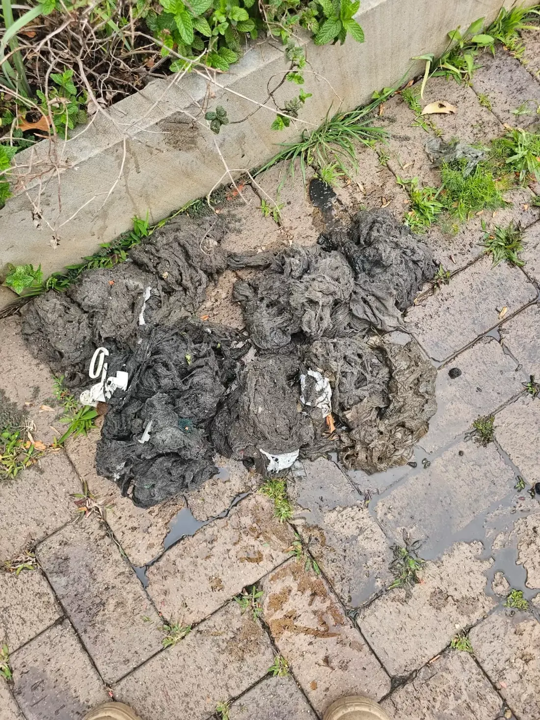 Blocked Drains