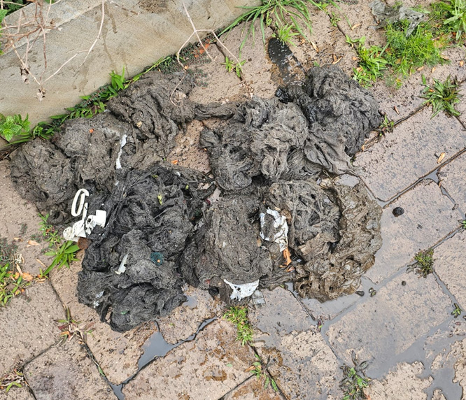 Blocked Drain